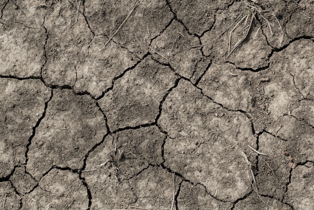 5-giorni-fortunati-per-segno-zodiacale